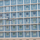 1750850080-jv0-9457-1-optimized-resize-fill-1920-1080