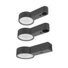 1709473031-lupa-family-detail_1-resize-fill-1920-1080